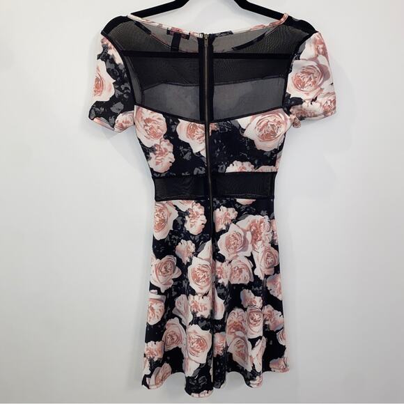 Black Sheer Mesh Cut-out Pink Floral Whimsigoth Romantic Goth Mini Dress XS - Picture 4 of 8